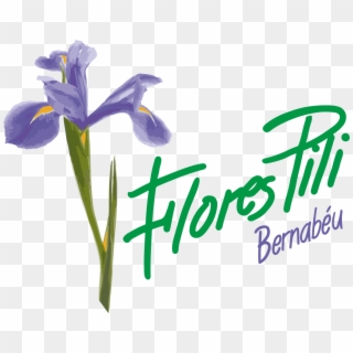Flores Pili Madrid - Iris Versicolor Clipart