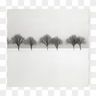 Photo Snow Scene Iii - Monochrome Clipart