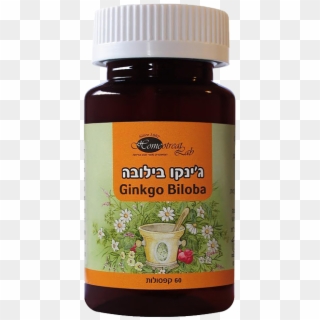 Ginkgo Biloba Kosher Supplement - Dietary Supplement Clipart
