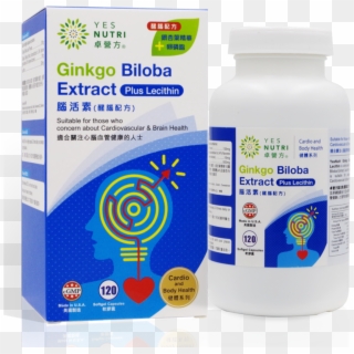 Ginkgo Biloba Extract (120 Sg) - Medical Clipart