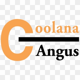 Coolana Angus Spring Bull Sale - Coolana Angus Clipart