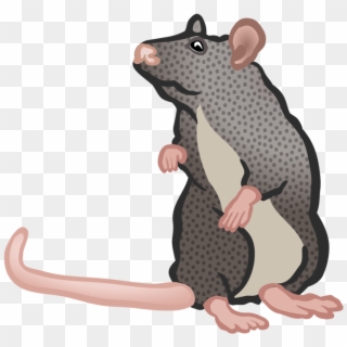 Home Clipart Rat - Ratte Clipart - Png Download