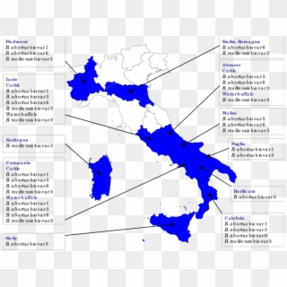 Geographic Distribution Of Brucella Strains Isolated - Map Of Italy Clipart