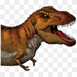 It Is Sized To Fit The Dinosaur Is Sized To Fit The - Tyrannosaurus Rex En Ingles Clipart