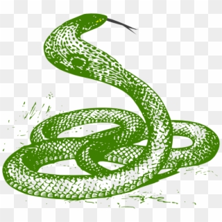 Green Clip Art At Clker Com Vector Ⓒ - Green Snake Clipart Png Transparent Png