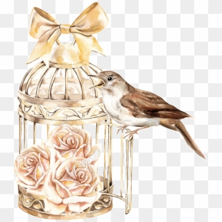 Classical Bird Cage - Birdcage Floral Watercolor Clipart