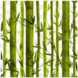 #bambu - Painted Bamboo Forest Clipart
