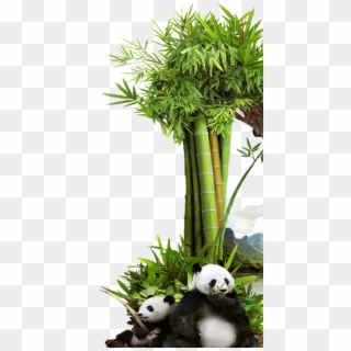 #mq #grass #green #bambu #panda #nature - Grass Clipart