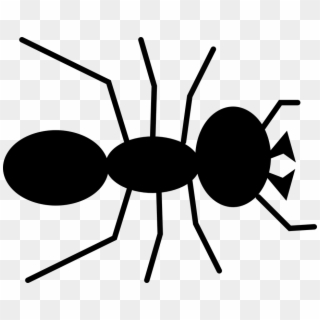 Hormiga, Escarabajo, Insecto, Insectos, Antena, Pest - Ant Clipart - Png Download