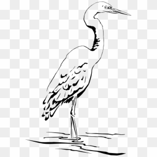 Great Blue Heron Clipart