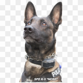 Police K9 Copy - Dog Catches Something Clipart
