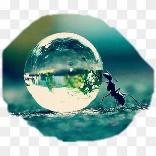 Mi Hormiga Es Un Insecto @asiangirl101 - Close Up Of A Raindrop Clipart