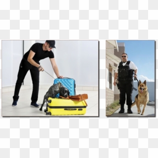 Detection, Guard, And Law Enforcement, Purchased Or - Concours Douane Maitre Chien Clipart