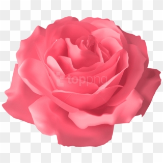 Free Png Download Soft Pink Rose Transparent Png Images - Blue Flower Png Transparent Clipart