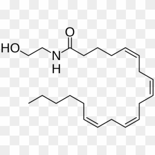 Endocannabinoids - Anandamide Molecule Clipart