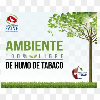 Ambientes Libres Del Humo Del Tabaco Clipart