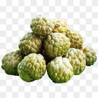 Free Png Download Custard Apples Png Images Background - Custard Apple Fruit Png Clipart