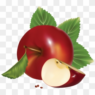 Apples Vector Red - Vector Clipart