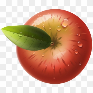 Vector Freeuse Download Apple Png Clip Art Image Gallery - Apple From Top Png Transparent Png