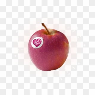 Pink Lady Apples , Png Download - Cripps Pink Clipart