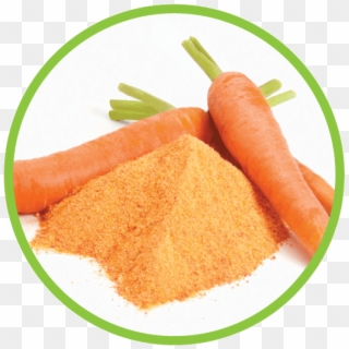 Carrot Md Circle Carrot Powder Circle - Bột Cà Rốt Clipart