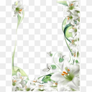 Jasmine Flower Frame Png - White Lily Flower Frame Clipart