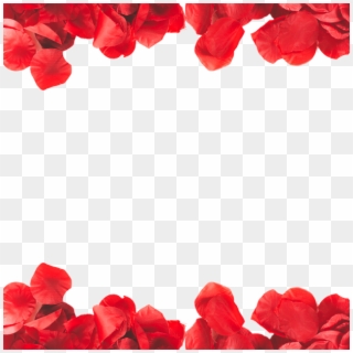 Jpg Royalty Free Stock Frame Png And Psd Rose Petal - Transparent Rose Petals Frame Clipart