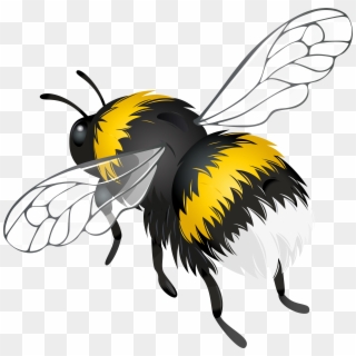 Flying Bee Png Clipart - Bee Flying Png Transparent Png