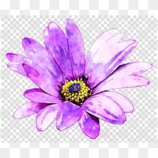 Purple Flower Painting Clipart Common Daisy Watercolor - Png Download