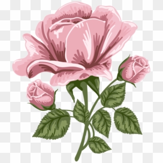 Pink Rose Art Png Picture - Pink Rose Art Png Clipart
