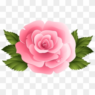 Pink Rose Clipart Pinc - Rose Clip Art Png Transparent Png