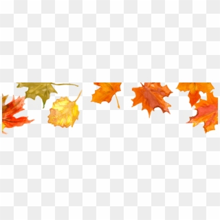 Fall Leaves - Fall November Png Clipart