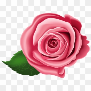 Free Png Download Rose Png Images Background Png Images - Pink Transparent Clipart Roses