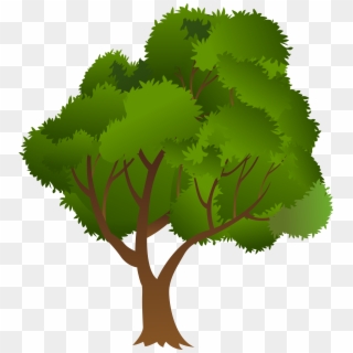 Transparent Clipart - Png Download