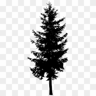 Fir-tree Png Image With Transparent Background - Pine Tree Silhouettes Png Clipart