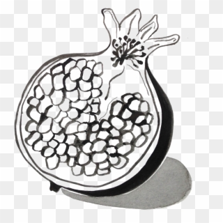 800 X 800 8 - Pomegranate In Black And White Clipart