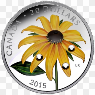 Canada 2015 Black-eyed Susan With Swarovski Proof Silver - Flower Coin Canada Clipart