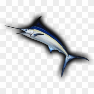 Blue Marlin Leaping Curve Fish Mount Replica - Atlantic Blue Marlin Clipart