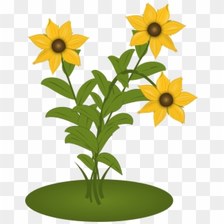 Black Eyed Susans - Sunflower Clipart