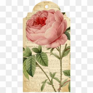 Callmevictorian Free Flower Printable Tags - Paper Clipart