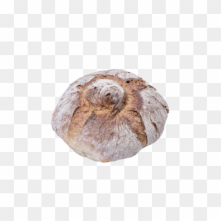 Moño - Bread Clipart