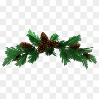 Christmas Assortment - Conifer Cone Clipart