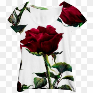Blusa Branca Com Rosas Vermelha Mc - Hybrid Tea Rose Clipart