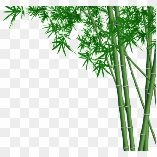 Bamboo Forest Transparent - Bamboo Design Clipart