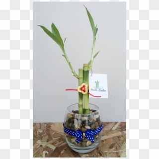 Centrepiece Clipart