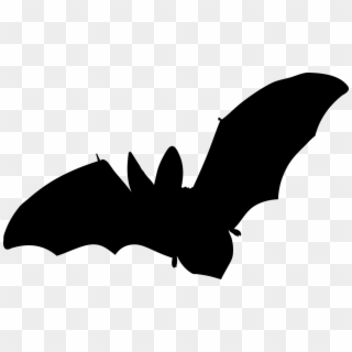Bat, Mammal, Flying, No Background, Vector - Fledermaus Silhouette Clipart