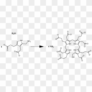 Overall Pbg Deaminase Reaction - Porphobilinogen Deaminase Structure Clipart