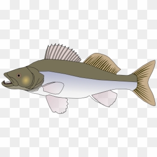 Drawing Graphic Arts Computer Icons Download Big Fish - Big Fish Clipart Png Transparent Png
