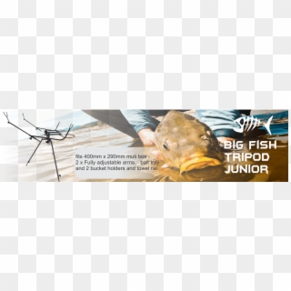 Big Fish Tripod Junior - Carp Clipart