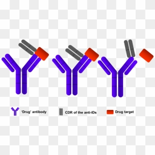 Antidrug Antibody Clipart